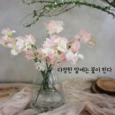 조은주 카카오 검색결과