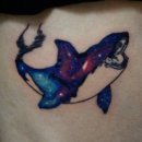 강남에스라인 이미지