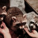 아쿠아플라넷 여수 이미지