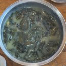 덤장중문점 | 제주도 중문 맛집 아침식사 가능한 덤장 중문점 내돈내산 후기 역시