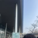 피카소장 | 창덕궁 홍매화/원필팝업unpiltered/오디움/이건희피카소전시 후기