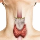 향기나는내과의원 이미지