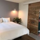 세화 엘라 이미지