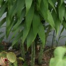 카사블링카 이미지