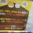 도그앤피플 동물병원 이미지