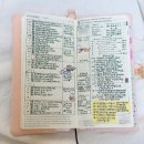 잔아박물관 | 조금 이른 2026 다이어리 소개, 2025 기록 회고