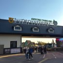 안성모텔 | 경기도 안성 국내 가을 여행지 핑크뮬리 명소 추천 안성팜랜드