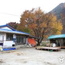 대자연래프팅 티스토리