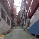 돌산마루협동조합 이미지