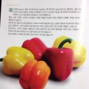 잠실카세차장 이미지