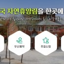복수북로 이미지