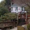 더덕 곤드레밥