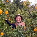 야베스 농장 이미지