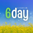 낙과유수 이미지