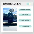 태영상회 | 블루원용인cc 회원권 혜택과 회원들이 전하는 이야기들