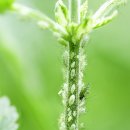 베이킹정원 이미지