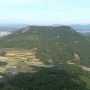 아미산 흑염소 농장 이미지