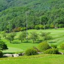 우리골프장 이미지