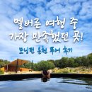 모닝턴 페닌슐라 온천 투어 후기멜버른 여행에서 가장 만족했던 이유