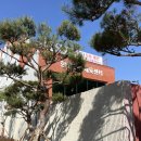 복합문화센터 | [일상] 한밭복합문화센터 수영장 이용후기
