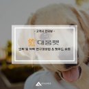(주)대웅펫 이미지