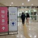 [후기] 2023 양재 플라워 페스타 방문 상세 후기&amp;정보 (전시, 체험, 할인쿠폰, 기념품, 쇼핑 등)