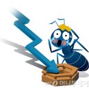 (주)도홀딩스 이미지