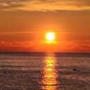 다해메디칼 이미지