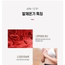 굿피트코리아 환국대리점 이미지