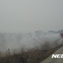 김포메추리농장 이미지