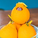 소나농장 이미지