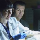 뉴욕종합동물병원 이미지