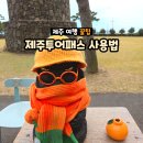 성산구 ⓒ-24 | [공지] 제주투어패스 사용법｜3박4일 가성비 제주여행 실제 사용기 지도첨부