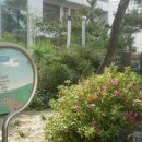 원평초등학교 이미지