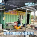 공설종묘농약사 앞 | 평택주말농장 순자네주말농장 초보농부1 통복시장모종가게