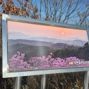 김포한강 8로 162번길 이미지