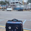 한솥도시락 문화기획 | [축친자의 런던여행기 - Day 1] 인천공항에서 런던 히스로 공항까지. 그리고 맛있었던 파이브가이즈.