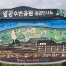 낙동생오리 이미지