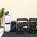 로운 피트니스 이미지