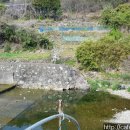 (경남고성부동산) 동해면...공시지가보다 낮은 생산관리 밭 입니다...222평(1,200만원) 이미지