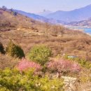 주영농원 이미지