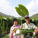 한아름식품 이미지