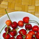 봉산농장 이미지