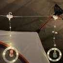 러빙네이쳐 이미지