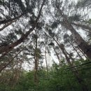 [공지] 구미 금오산 등산코스 후기｜현월봉 정상석 2개·약사암·도선굴 원점회귀 코스