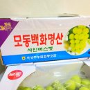 백화협동조합 이미지