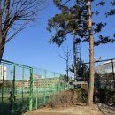 오금공원2(테니스장) 화장실 | 깨끗하고 이쁜 귀뚜라미 크린 테니스장 다녀온 후기 +_+