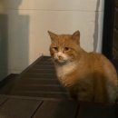 꽃들펜션 | 단양 꽃들의 물감찾기 펜션 후기