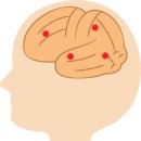 뇌머리식당 이미지