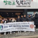 제주 할리데이 이미지